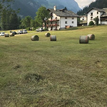 Residenza Verdebjo Gressoney-Saint-Jean Exterior foto